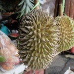 durian