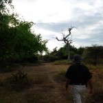 damian dans la savane