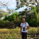 james dans la savane