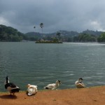 lac de kandy4