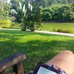 lecture au parc Singap