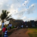 les corbeaux sur les remparts