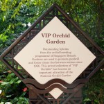 vip orchid garden