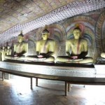 dambulla14