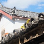 rue de lijiang09