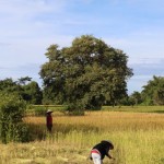 balade 4000 îles 12