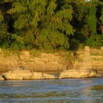 Pirogue sur le Mékong 47