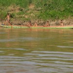 Pirogue sur le Mékong 66