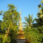 Wat Xieng Thong 29