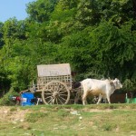 arrivée à Mingun 1