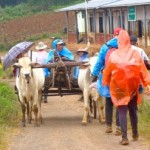 trek kalaw lac inle seconde journée 06