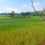 trek kalaw lac inle troisième journée 11