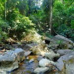 mae hong son trek jour 2 12