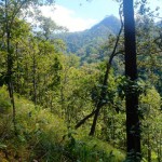 trek mae hong son jour 1 08