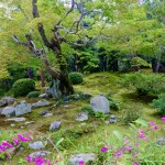 Tenryù-ji-jardin-7