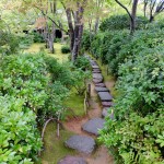 jibutsu-do garden5