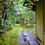 jibutsu-do garden6