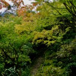 jibutsu-do garden9